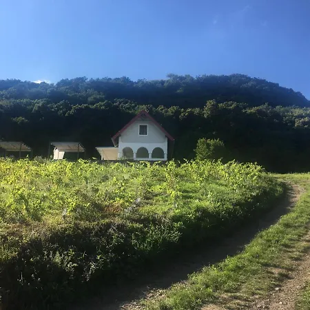 Διαμέρισμα Chateau Segesdi Borapartman *