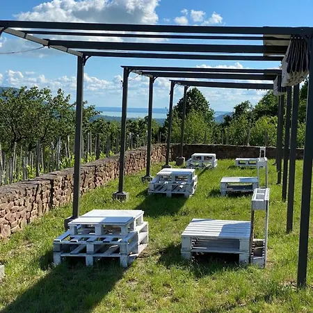 Chateau Segesdi Borapartman Διαμέρισμα Gyulakeszi